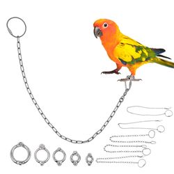 Stainless Steel Parrot Leg Ring: Bird Ankle Chain for Training & Outdoor Flying