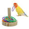 Wn9SParrot-Bird-Toy-Parrot-Bite-Chewing-Toy-Pet-Bird-Swing-Ball-Standing-Toy-Plastic-Rings-Training.jpg