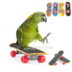 Mini Skateboard Parrot Toy: Bird Training & Growth Accessory