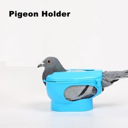 Plastic Pigeon Holder: Bird Rack & Feeding Syringe for Parrots