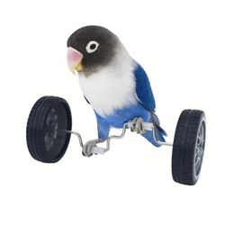 Parrot Balance Car: Fun Bird Supplies for Small & Medium Birds