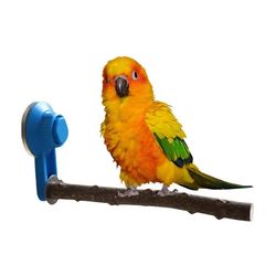 Parrot Perch Pepper Wood Stand with Chewing Toys & Suction Cup