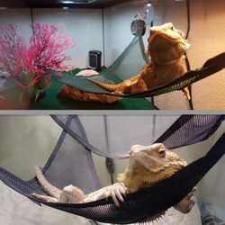 Reptile Hammock Lounger Set for Large & Small Dragons, Anoles, Geckos, Lizards, or Snakes