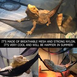 Bearded Dragon Hammock: Lizard Lounger & Hanging Bed for Reptile Habitat