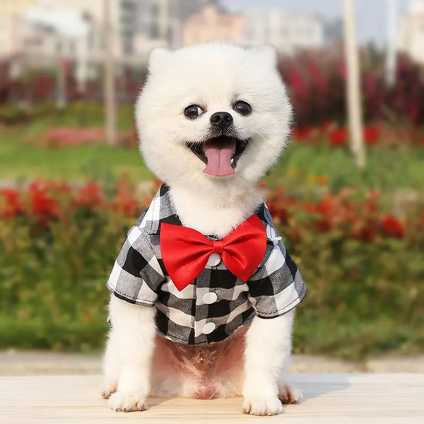 HS1yPet-Clothes-Dogs-Plaid-Striped-Shirt-Suit-Wedding-Dress-Puppy-Coat-Teddy-Bear-Pomeranian-Vest-Small.jpg