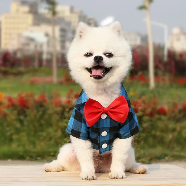 omNcPet-Clothes-Dogs-Plaid-Striped-Shirt-Suit-Wedding-Dress-Puppy-Coat-Teddy-Bear-Pomeranian-Vest-Small.jpg