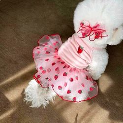 Summer Strawberry Dog Dress: Cute Pet Apparel with Suspender Skirt