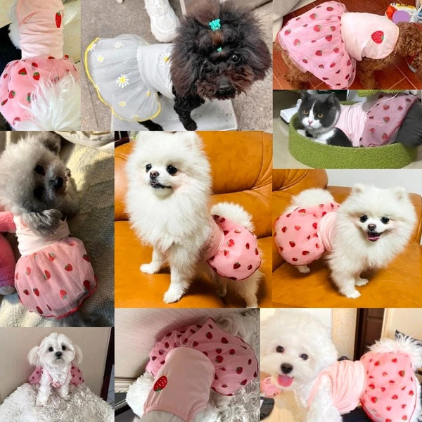 wDeaSummer-Strawberry-Dress-for-Dog-Pet-Clothing-Dog-Suspender-Skirt-Dog-Clothes-Cats-Puppy-Print-Cute.jpg