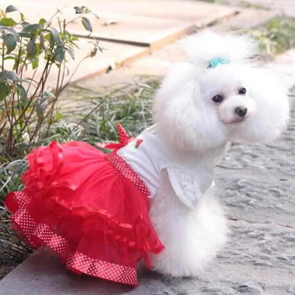 HQ1QCute-Dog-Clothes-for-Small-Dogs-Wedding-Dress-Skirt-Summer-Luxury-Princess-Pet-Clothes-Fruit-Design.jpg