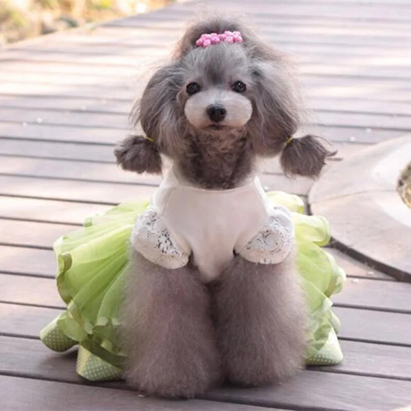 7saICute-Dog-Clothes-for-Small-Dogs-Wedding-Dress-Skirt-Summer-Luxury-Princess-Pet-Clothes-Fruit-Design.jpg