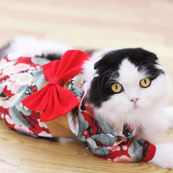 hTpbClothes-For-Dog-Cats-Pet-Summer-Japanese-Dog-Clothes-Kimono-French-Bulldog-Corgi-Chihuahua-Shiba-Inu.jpg