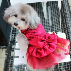 Pet Dog Puppy Bow Gauze Skirt Sequin Princess Clothes: Party Evening Dress