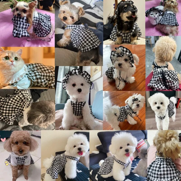 0u2ZDog-Clothes-Summer-Cute-Pet-Plaid-Striped-Suspender-Skirt-Hat-Vest-Set-Small-Dog-Dress-Chihuahua.jpeg
