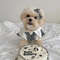 BZeIDog-Clothes-Summer-Cute-Pet-Plaid-Striped-Suspender-Skirt-Hat-Vest-Set-Small-Dog-Dress-Chihuahua.jpg