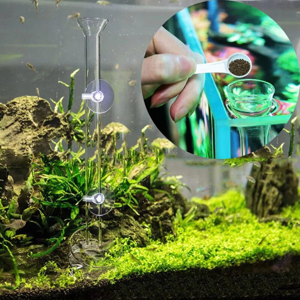 tVyXGlass-Aquarium-Feeder-Tube-Dish-Transparent-Fish-Tank-Shrimp-Snail-Food-Feeder-Bowl-Aquarium-Feeding-Accessories.jpg
