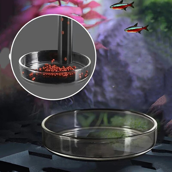 jDx4Glass-Aquarium-Feeder-Tube-Dish-Transparent-Fish-Tank-Shrimp-Snail-Food-Feeder-Bowl-Aquarium-Feeding-Accessories.jpg