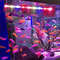 1Yk217-47cm-Aquarium-LED-Lighting-Submersible-Mood-Lamp-USB-Waterproof-Fish-Tank-Decorative-Plant-Grow-Light.jpg