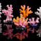 nPzY1pc-Artificial-Coral-Fish-Tank-Decoration-Emulates-Starfish-Reef-Landscape-Aquarium-Decoration-Craft-Tabletop.jpg