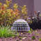 VXulNew-Aquatic-Pet-Supplies-Decorations-Aquarium-Natural-Moss-Ball-Live-Plants-Filter-Pet-Fish-Tank-Decor.jpg