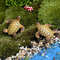82nw1pc-Mini-Sea-Turtle-Model-Resin-Ornaments-Aquarium-Fish-Tank-Home-Landscape-Decoration-Accessories-Fine-Workmanship.jpg