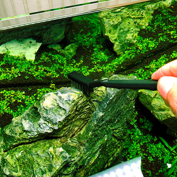 QRRJ3pcs-pack-Steel-Wire-Brush-Aquarium-Algae-Cleaning-Brush-Nylon-Brush-Aquarium-Cleaner-Fish-Tank-Stain.jpg