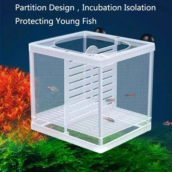 hkwkPlastic-Aquarium-Fish-Breeding-Isolation-Box-Fish-Tank-Aquarium-Breeder-Hatching-Incubator-Fish-Tanks-Isolator-Feeding.jpg