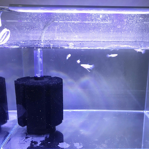 8lX53-Sizes-Fish-Tank-Air-Pump-Skimmer-Aquarium-Fish-Filter-Accessories-Practical-Aquarium-Biochemical-Sponge-Filter.jpg