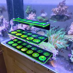 Acrylic Rack for Fluorescent Coral Frag Plug in Marine Reef Tank
