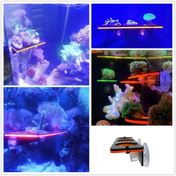 aKjUFluorescent-Coral-Frag-Plug-Bracket-Growing-Holder-Acrylic-Rack-Marine-Reef-Stand-Aquarium-Accessories-Fish-Tank.jpg