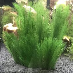 Green Simulation Water Grass: Aquarium Landscaping Decoration