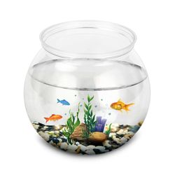 Plastic Fish Bowl: L, M, S Sizes - Desktop Aquarium Tanks for Betta and Mini Fish