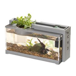 Mini Betta Aquarium Starter Kit: Mute Water Flow Filter, Micro Landscape Decor
