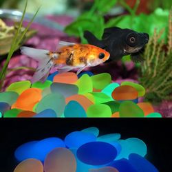 artificial noctilucent stone for vibrant aquariums and stunning landscaping
