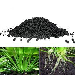 anubias aquarium plant seed soil for fish tank plants care