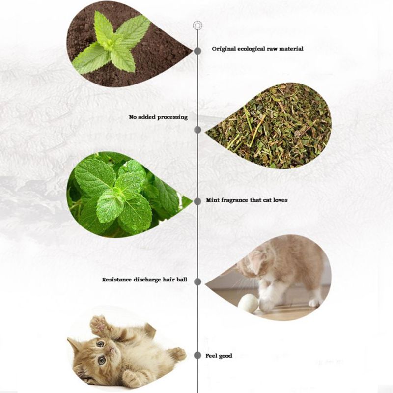 EmhW10g-20g-30g-Premium-Natural-Catnip-Kitten-Catnip-Leaves-for-Cat-Mint-Treats-Pets-Cats-Supplies.jpg