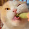 fkLgNatural-Grass-Cat-Molar-Rod-Indoor-Chewing-Stick-Chew-Treat-for-Kitten-Mouth-Healthy-Natural-Cat.jpg