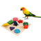 0JTvParrotIqTrainingToys9GridColorfulWoodenBlockSafeTastelessPetEducationalToysBirdTo
