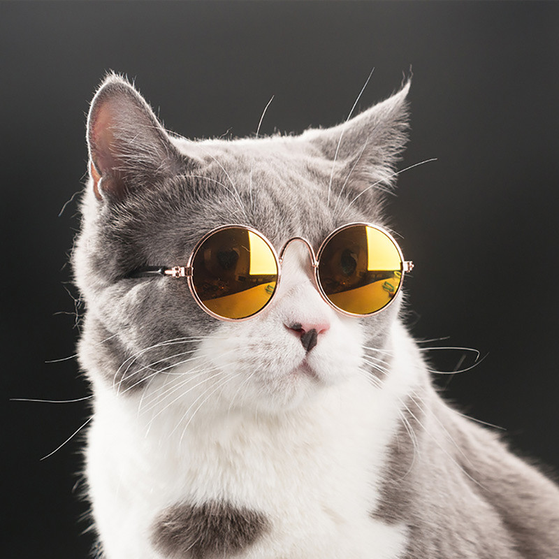 TPAkPet-Cat-Dog-Glasses-Pet-Products-for-Little-Dog-Cat-Eye-Wear-Dog-Sunglasses-Kitten-Accessories.jpg