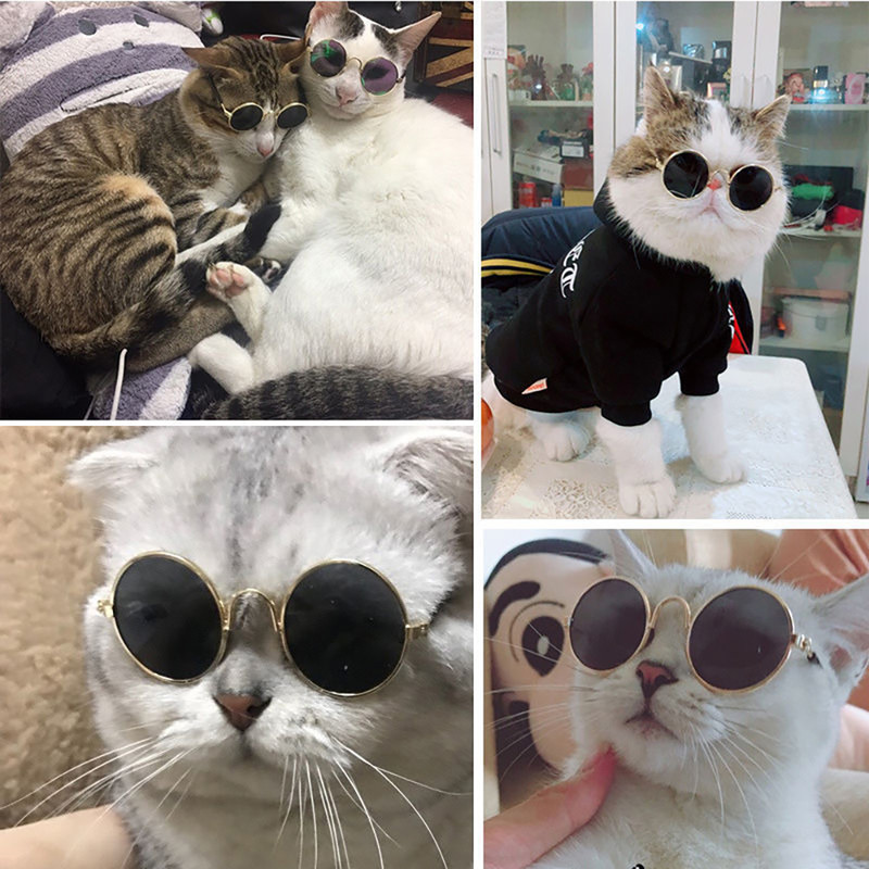 1KHpPet-Cat-Dog-Glasses-Pet-Products-for-Little-Dog-Cat-Eye-Wear-Dog-Sunglasses-Kitten-Accessories.jpg
