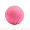 wpe6Dog-Toy-Ball-Molar-Bite-Resistant-Indestructible-Solid-Rubber-Ball-Small-and-Medium-Sized-Dog-Interactive.jpg