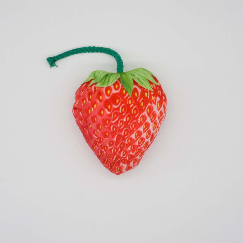 MaV9Funny-Squeaky-Toys-For-Small-Medium-Dogs-Puppy-Bite-Resistant-Simulated-Dog-Toy-Vegetables-Fruits-Series.jpg