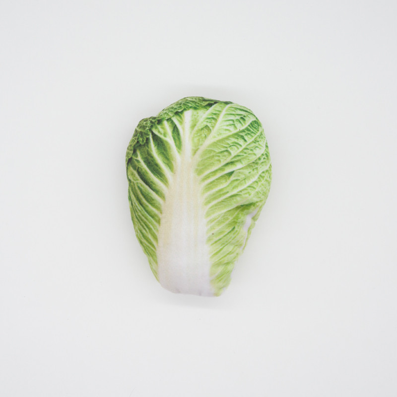 C6DHFunny-Squeaky-Toys-For-Small-Medium-Dogs-Puppy-Bite-Resistant-Simulated-Dog-Toy-Vegetables-Fruits-Series.jpg