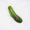 y5AEFunny-Squeaky-Toys-For-Small-Medium-Dogs-Puppy-Bite-Resistant-Simulated-Dog-Toy-Vegetables-Fruits-Series.jpg