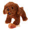 hm0HPet-Dog-Toy-Rubber-Chicken-Leg-Puppy-Sound-Squeaker-Chew-Toys-for-Dogs-Puppy-Cat-Interactive.jpg