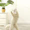 bjlgSimulation-Caterpillar-Cat-Toy-Cat-Scratch-Rope-Mouse-Funny-Self-hey-Interactive-Toy-Retractable-Hanging-Door.jpg