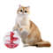 Gc8xCat-Treat-Dispensing-Ball-Toy-Adjustable-Leakage-Mouth-Slow-Feeder-Puzzle-Ball-Interactive-Pet-Toys-For.jpg