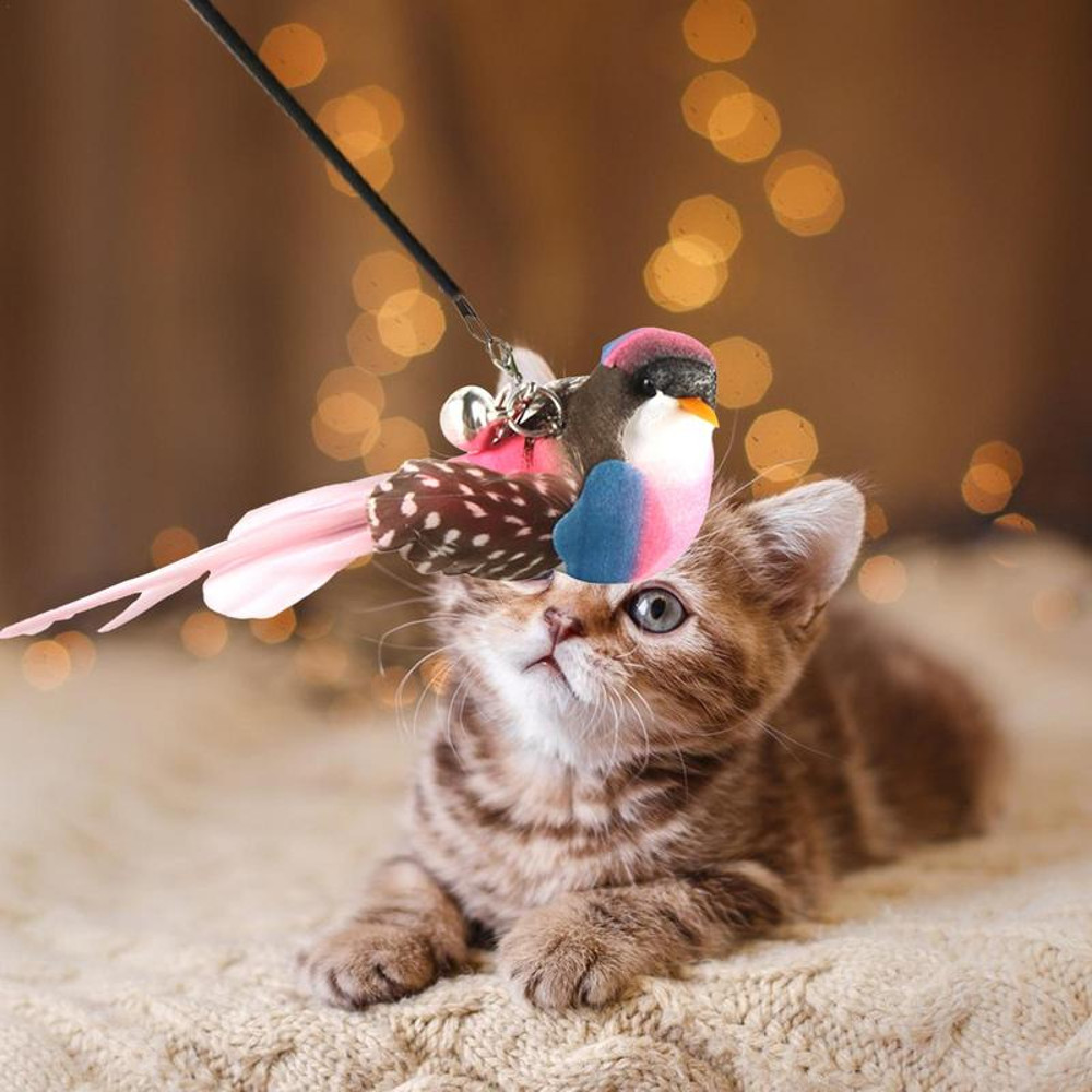 s0jOReplacement-Head-For-Funny-Cat-Stick-Toy-Various-Kinds-Cats-Rod-Feather-Birds-Teaser-Toy-For.jpg