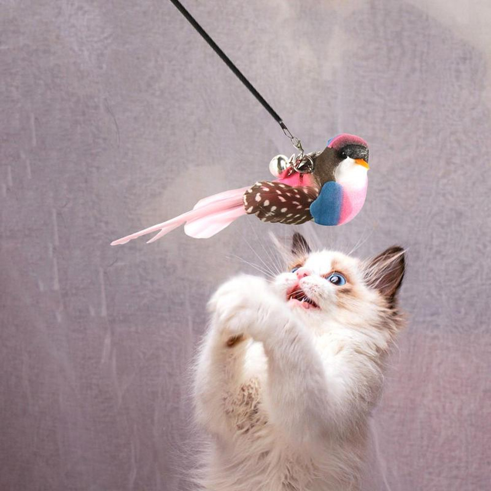 gyKuReplacement-Head-For-Funny-Cat-Stick-Toy-Various-Kinds-Cats-Rod-Feather-Birds-Teaser-Toy-For.jpg