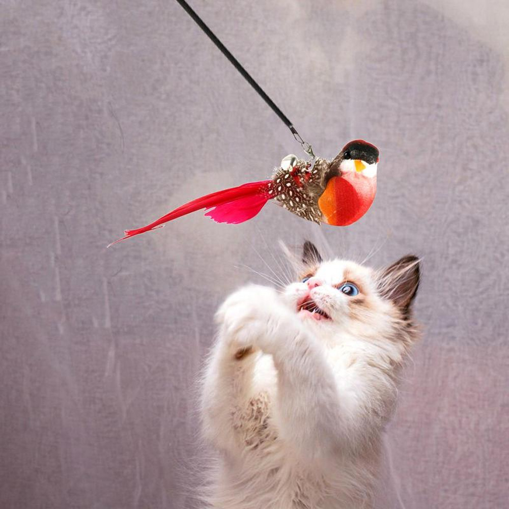 6BQjReplacement-Head-For-Funny-Cat-Stick-Toy-Various-Kinds-Cats-Rod-Feather-Birds-Teaser-Toy-For.jpg