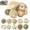 I0kDNew-Natural-Rattan-Ball-7CM-Pet-Chewing-Toy-Interactive-Toys-Rabbit-Parrot-Chew-Toys-for-Cats.jpg